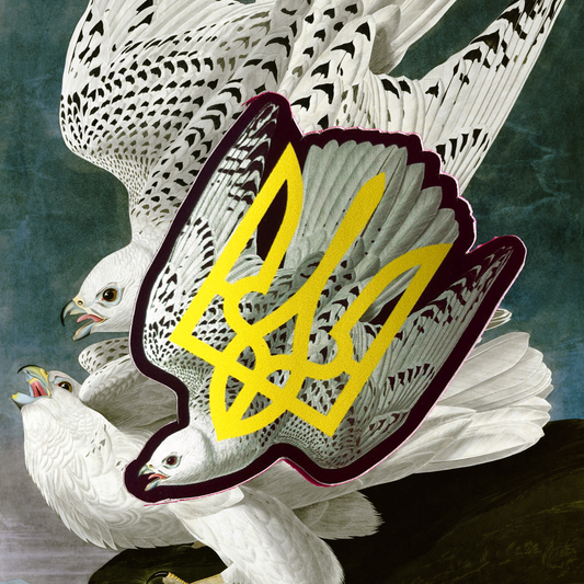 Ukraine Gyrfalcon sticker (old design)