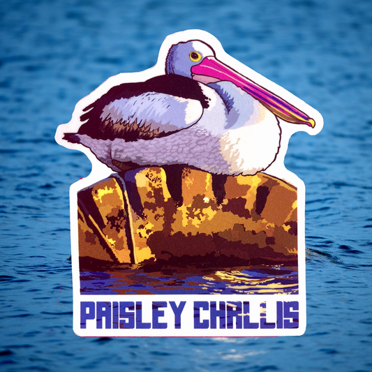 Paisley Challis sticker